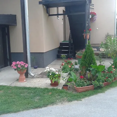 Sebes Apartman Apartment
