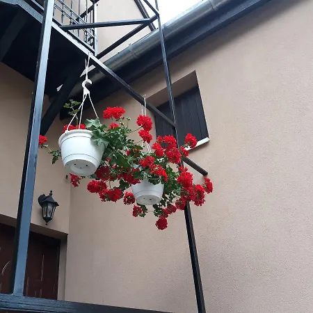 Sebes Apartman *