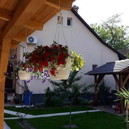 Sebes Apartman *