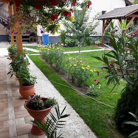 Sebes Apartman