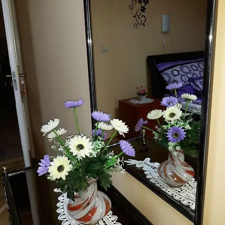 Sebes Apartman * Дебрецен